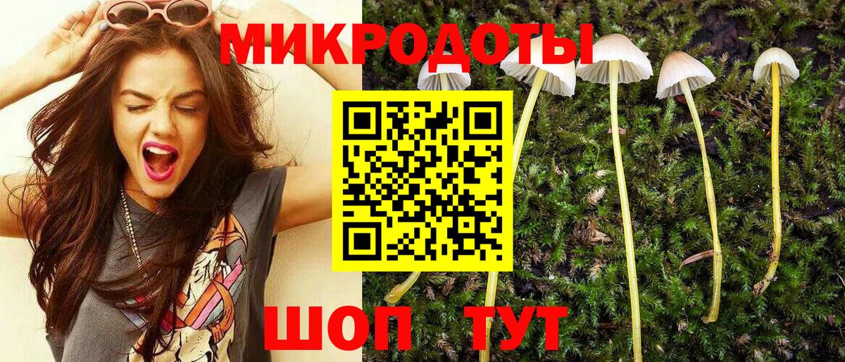 Псилоцибиновые грибы прущие грибы Воркута